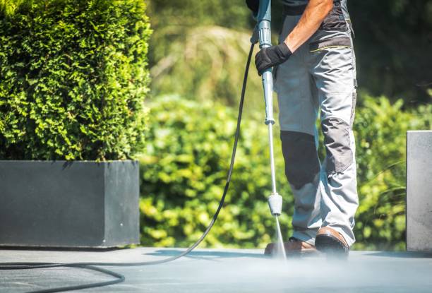 Animal Enclosure Cleaning in East Honolulu, HI