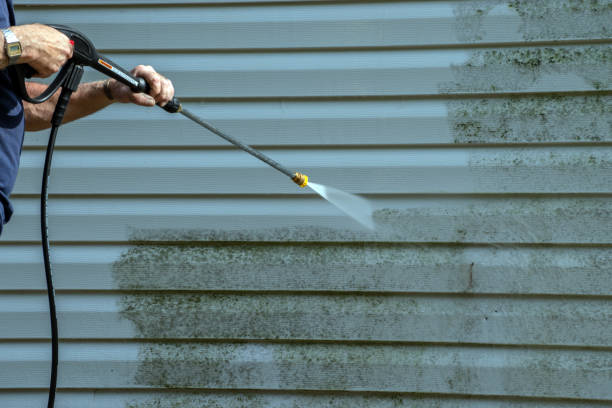 Professional Pressure Washing Services in East Honolulu, HI